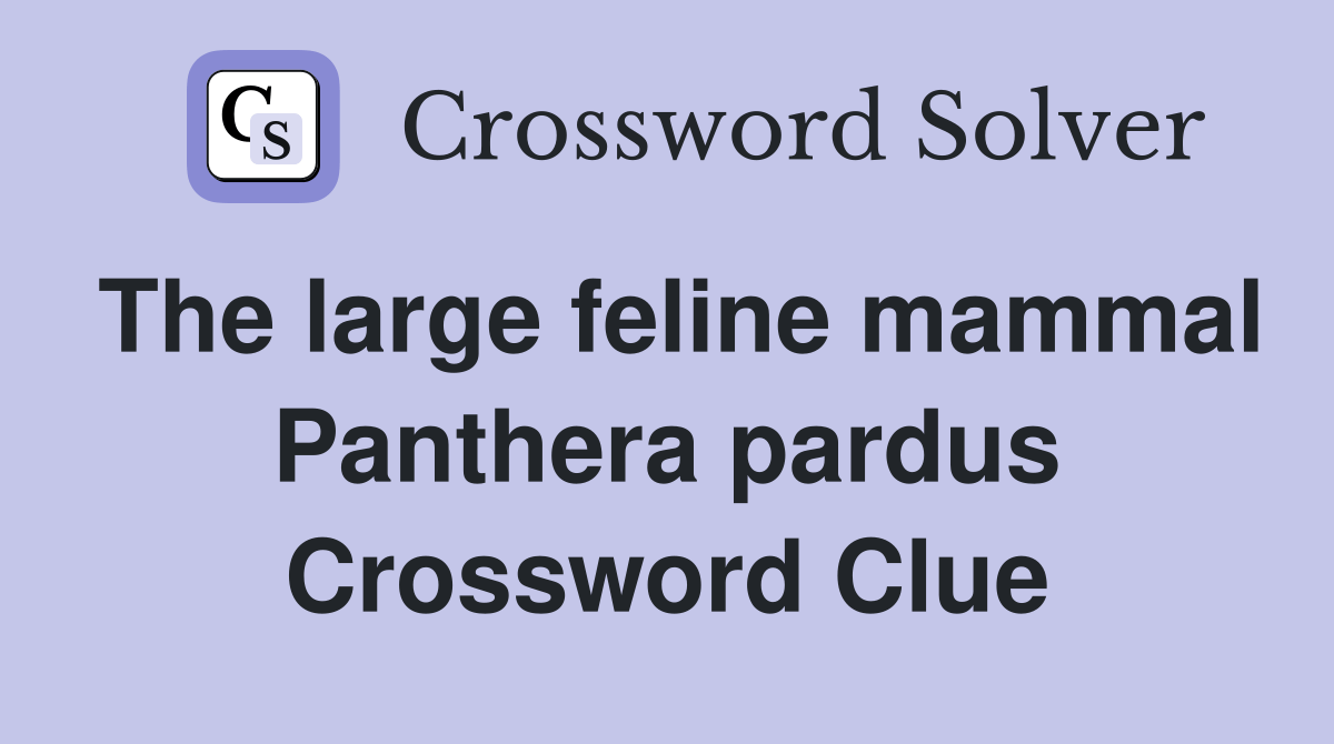 The large feline mammal Panthera pardus Crossword Clue Answers
